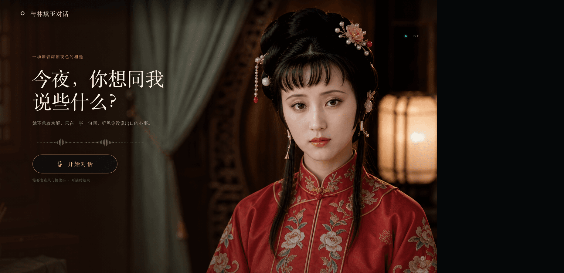 《与林黛玉对话》项目页面预览